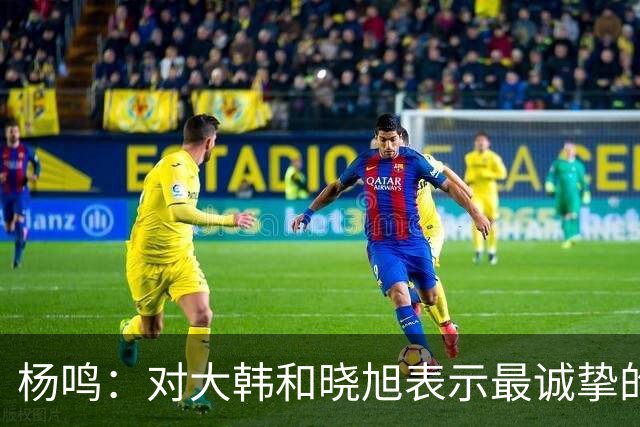 杨鸣：对大韩和晓旭表示最诚挚的感谢和尊重
